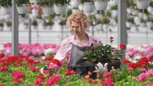 Beautiful Curly Woman Gardener is Holding a Pot with Beautiful Flowers