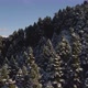 winter snow mountains with trees - VideoHive Item for Sale