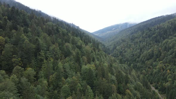 Aerial View of the Carpathian Mountains in Autumn. Ukraine