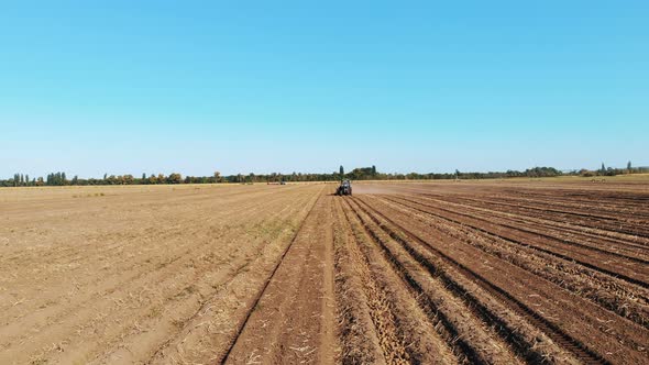 Potato Harvesting