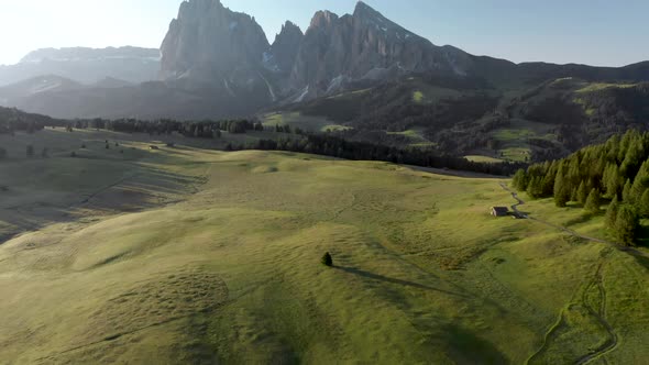 Aerial backwards unveil shot of lonely tree at idyllic Seiser Alm in Dolomites Italy 