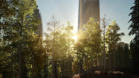 Skyscrapes and the Forest Park at Sunrise alt