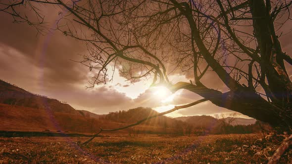 Time Lapse of Death Tree and Dry Yellow Grass at Mountian Landscape with Clouds and Sun Rays