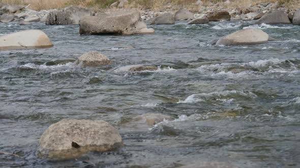 Stream Water Flowing