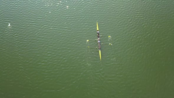 Aerial view of two people rowing a yellow boat on a lake next to two white swans.