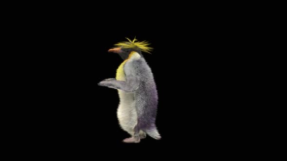 Penguin Dancing HD