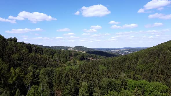 A valley in the forest