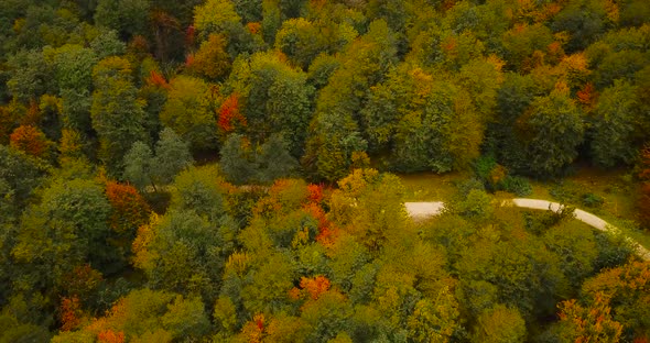 Forest in Iran with colorful broad leaf trees and green, brown, yellow and red foliage in wide move