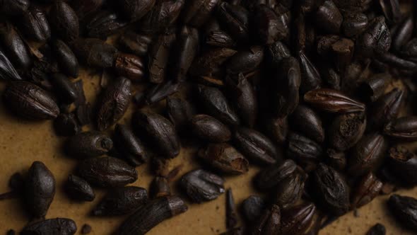 Rotating shot of barley and other beer brewing ingredients - 