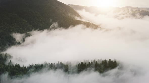 Mountains Forest at Thick Fog Aerial