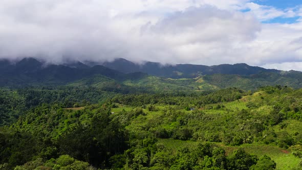 Mountain Peaks Are Covered with Rainforest and Clouds.