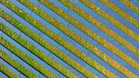 Aerial view of solar panels on field in summer