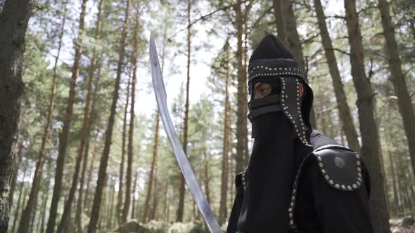 A soldier with a sword in his hand and a helmet on his face. alt
