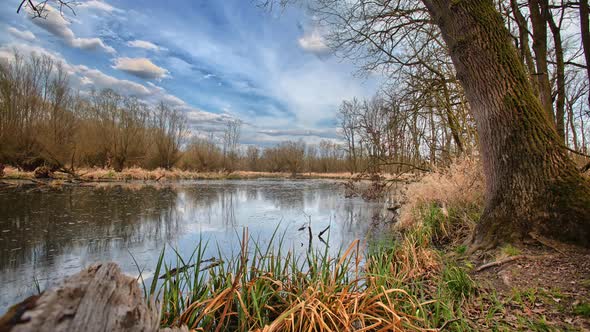 Beautiful nature with pond. Time lapse Czech republic