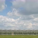 Clouds above greenhouses - VideoHive Item for Sale