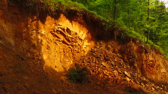 Dangerous Debris in Forest