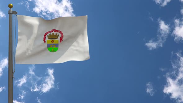 Porto Alegre City Flag (Brazil) On Flagpole