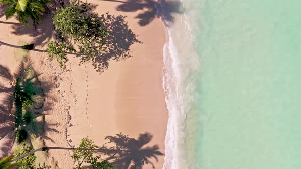 Bird's Eye View Of Tropical Beach Playa Bonita In Las Terrenas, Dominican Republic - aerial drone sh