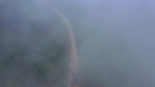 A Car Rides Along a Forest Path