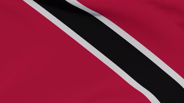 Flag Trinidad and Tobago Patriotism National Freedom Seamless Loop