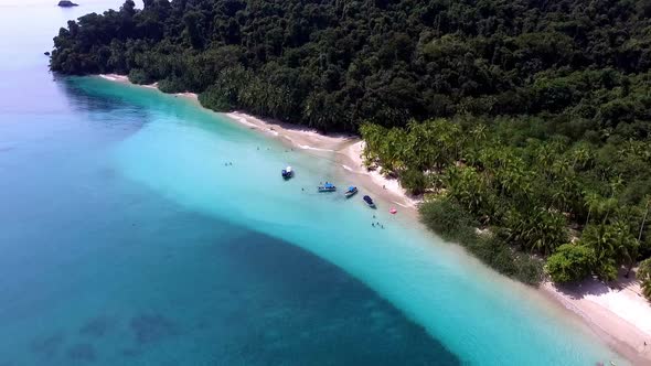 Virgin Unspoiled Caribbean Tropical White Sandy Beach Aerial Drone View