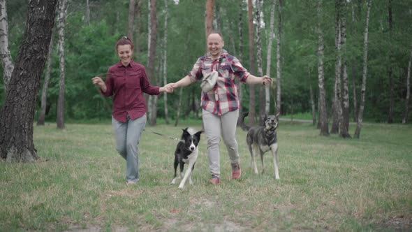 Wide Shot of Cheerful Couple Running with Dogs in Summer Forest and Leaving. Portrait of Happy