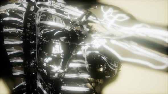 Inspection of Blood in the Blood Vessels of the Circulatory System alt