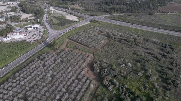 Latrun Monastery in Israel Aerial View