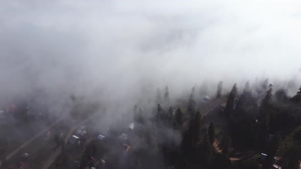 Cloud and forest aerial view