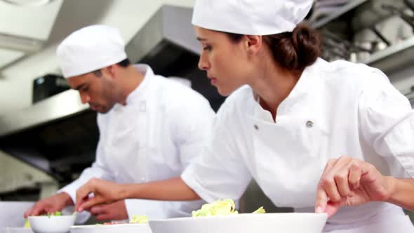 Chefs garnishing food dish