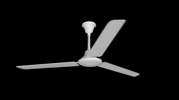 Ceiling Fan