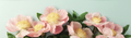 Banner. Beautiful pink peony flower on pastel blue background, minimalistic - PhotoDune Item for Sale