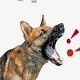 Dog Bark