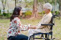 Holding touching hands Asian elderly woman patient in wheelchair at park with love. - PhotoDune Item for Sale