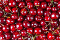 Red Ripe Sweet Cherry With Stalk. Food, Berry Background. - PhotoDune Item for Sale