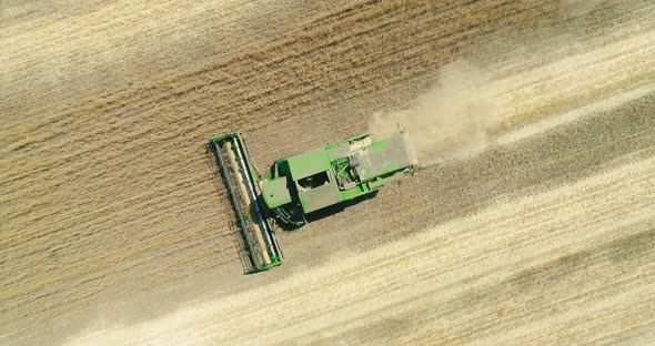 Modern combine harvester working on the wheat crop. Aerial view