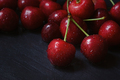 Cherry tree macro black background top view. Copy space - PhotoDune Item for Sale