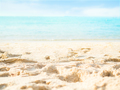 Sea Beach Summer Background,Ocean and Blue Sky Horizon Tropical Nature - PhotoDune Item for Sale