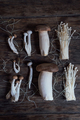 dible Asian mushrooms Enoki, shimeji, shiitake, tea tree, royal oyster mushrooms - PhotoDune Item for Sale