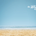 Beautiful beach with golden sand - PhotoDune Item for Sale