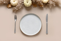 Thanksgiving day autumn table setting decoration in natural colors white pumpkins. - PhotoDune Item for Sale