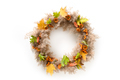 Thanksgiving wreath with orange flowers and dry natural materials isolated on white. - PhotoDune Item for Sale