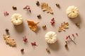 Autumn composition with white pumkins and red berries, dry oak leaves. - PhotoDune Item for Sale
