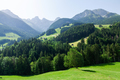 Panoramic view of green alpine meadows and mountains - PhotoDune Item for Sale