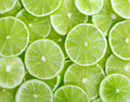 Lime slices - PhotoDune Item for Sale