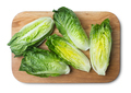 Romaine lettuce - PhotoDune Item for Sale