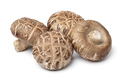 Fresh whole shiitake mushrooms close up on white background - PhotoDune Item for Sale