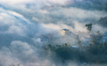 morning foggy  - PhotoDune Item for Sale