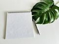 Notepad and pen with monstera leaf  - PhotoDune Item for Sale