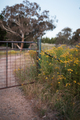 Farm fence - PhotoDune Item for Sale